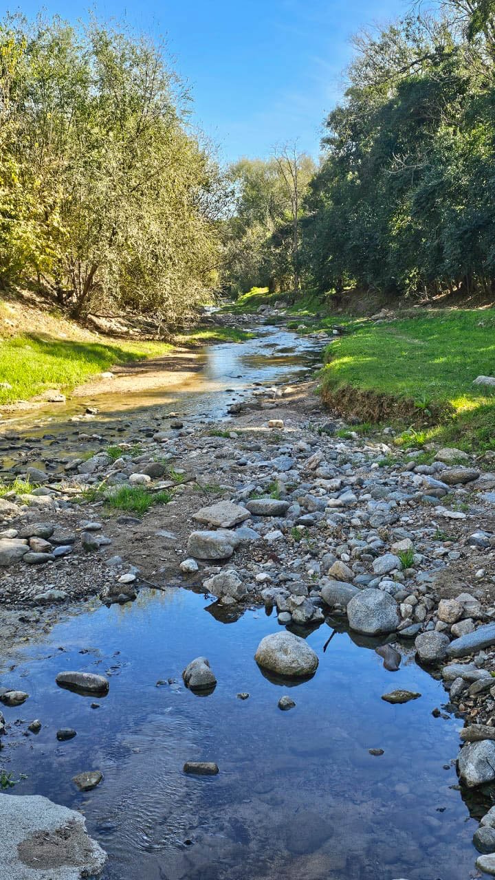 Río El Sauce